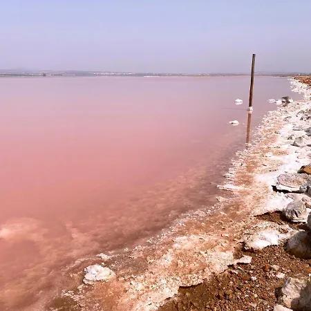 Torrevieja4u Front Sea View *