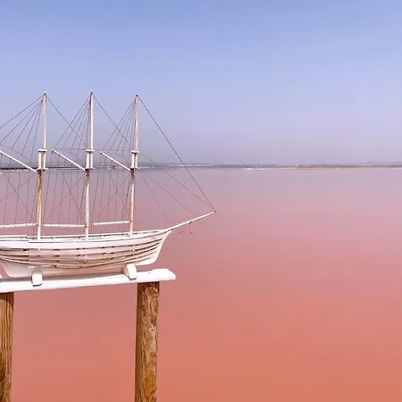 Torrevieja4u Front Sea View *