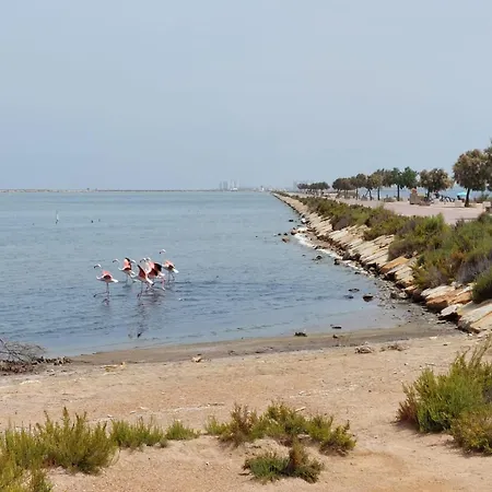 Torrevieja4u Front Sea View Lägenhet Torrevieja