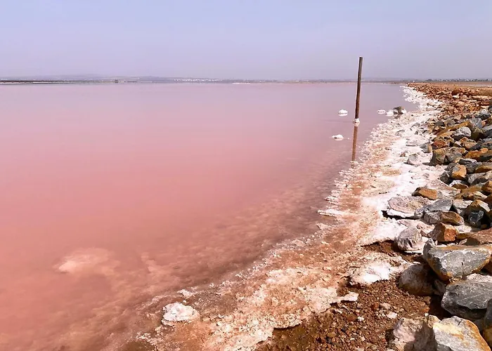 Torrevieja4u Front Sea View *