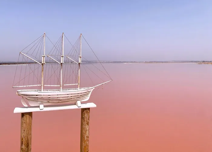 Torrevieja4u Front Sea View *