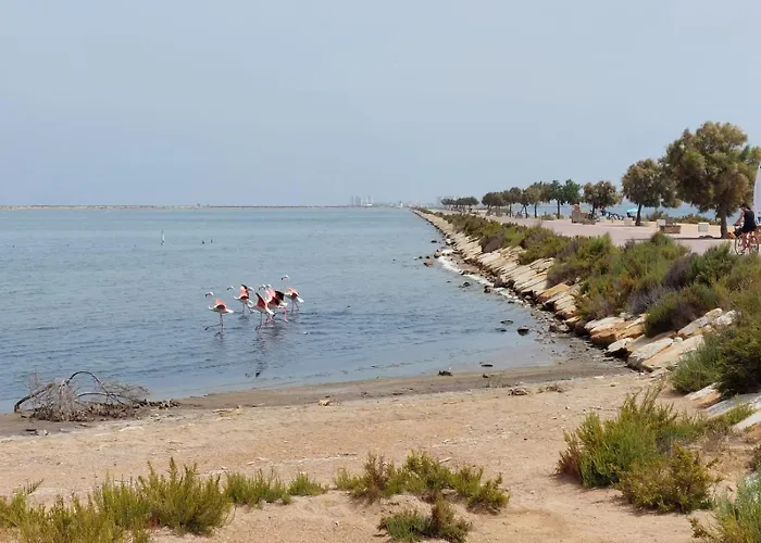 Torrevieja4u Front Sea View Lägenhet Torrevieja